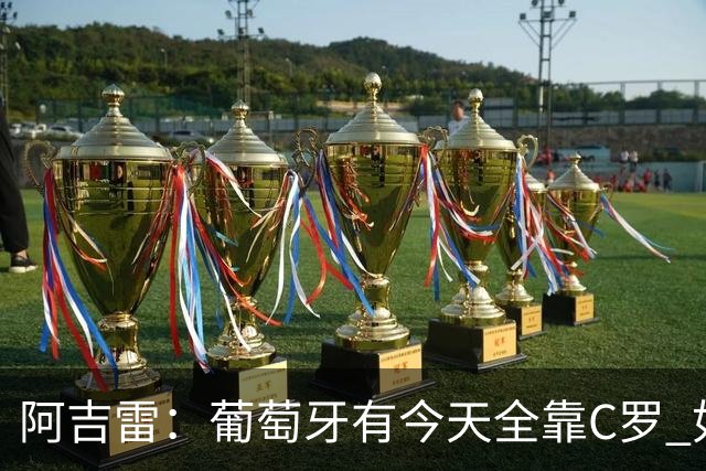 阿吉雷：葡萄牙有今天全靠C罗 如果球都传不到脚下，他能怎么办？
